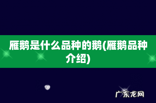 雁鹅品种介绍 雁鹅是什么品种的鹅