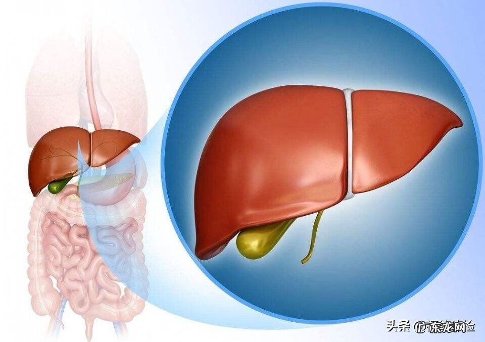 肝功能指标高 肝功能指标异常