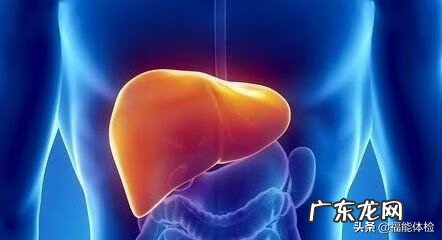 肝功能指标高 肝功能指标异常