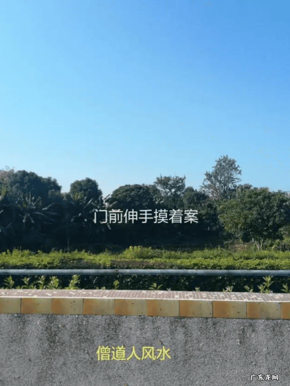 猛虎下山风水图 老虎山形风水图片