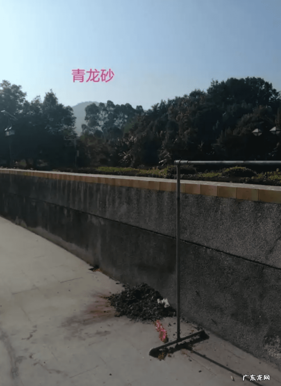 猛虎下山风水图 老虎山形风水图片