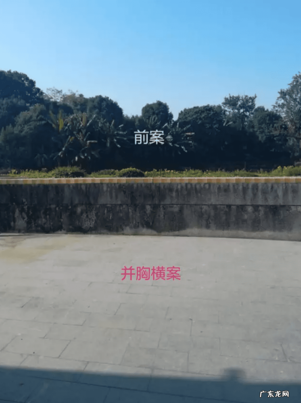 猛虎下山风水图 老虎山形风水图片