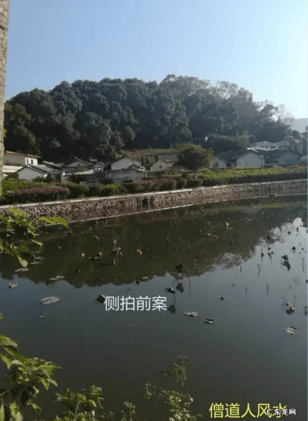 猛虎下山风水图 老虎山形风水图片