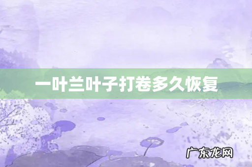 一叶兰叶子打卷多久恢复