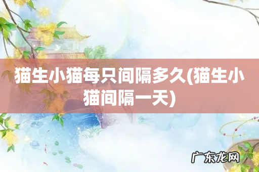 猫生小猫间隔一天 猫生小猫每只间隔多久