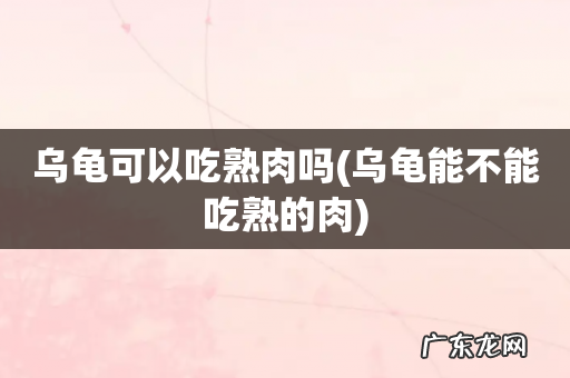 乌龟能不能吃熟的肉 乌龟可以吃熟肉吗