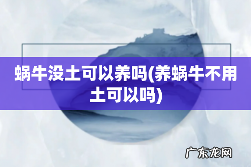 养蜗牛不用土可以吗 蜗牛没土可以养吗
