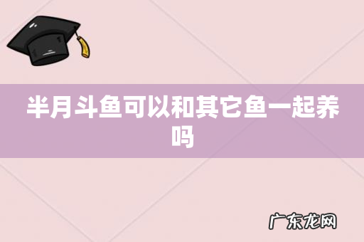 半月斗鱼可以和其它鱼一起养吗