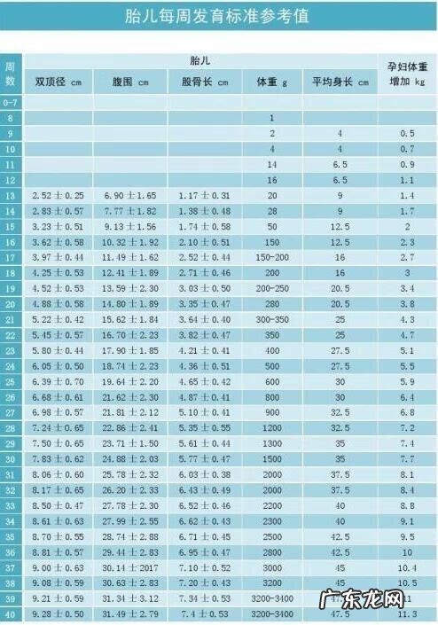 32周胎儿大小正常范围 怀孕第32周胎儿大小