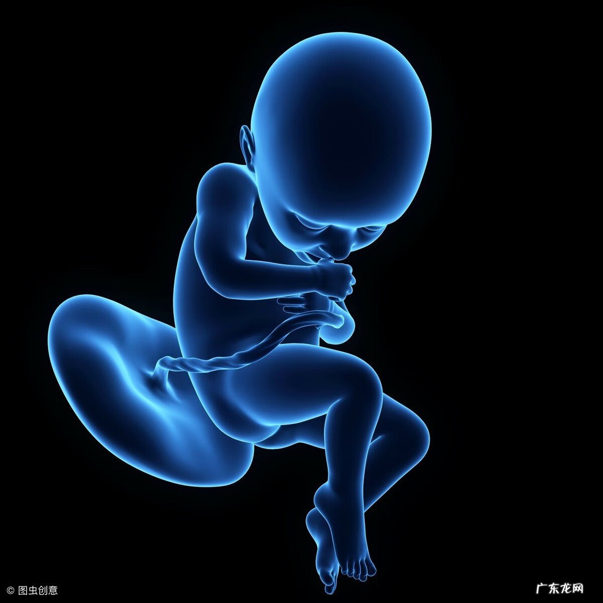 32周胎儿大小正常范围 怀孕第32周胎儿大小