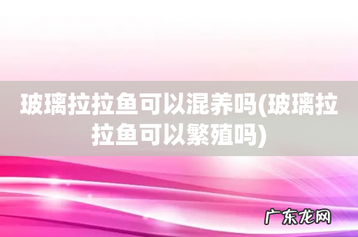 玻璃拉拉鱼可以繁殖吗 玻璃拉拉鱼可以混养吗