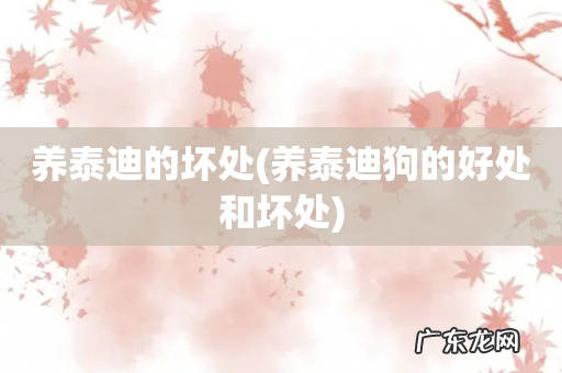 养泰迪狗的好处和坏处 养泰迪的坏处