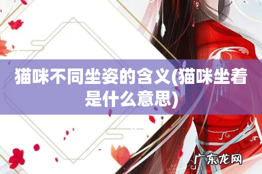 猫咪坐着是什么意思 猫咪不同坐姿的含义