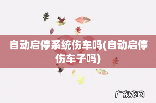 自动启停伤车子吗 自动启停系统伤车吗