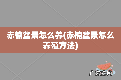 赤楠盆景怎么养殖方法 赤楠盆景怎么养