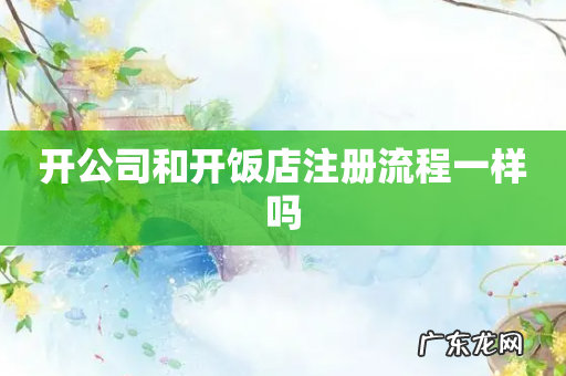 开公司和开饭店注册流程一样吗