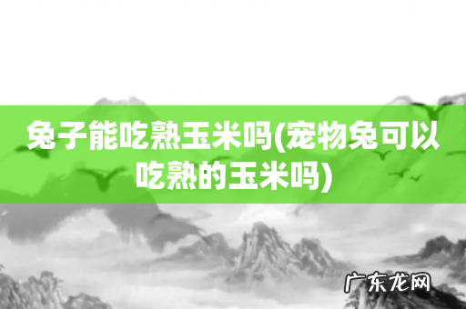 宠物兔可以吃熟的玉米吗 兔子能吃熟玉米吗