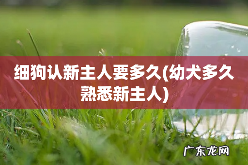 幼犬多久熟悉新主人 细狗认新主人要多久