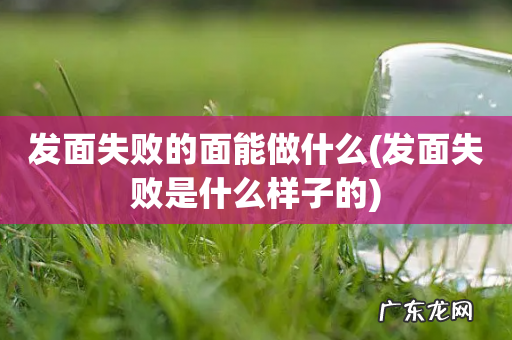 发面失败是什么样子的 发面失败的面能做什么