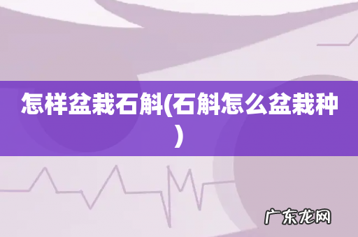 石斛怎么盆栽种 怎样盆栽石斛