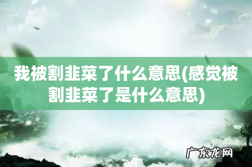 感觉被割韭菜了是什么意思 我被割韭菜了什么意思