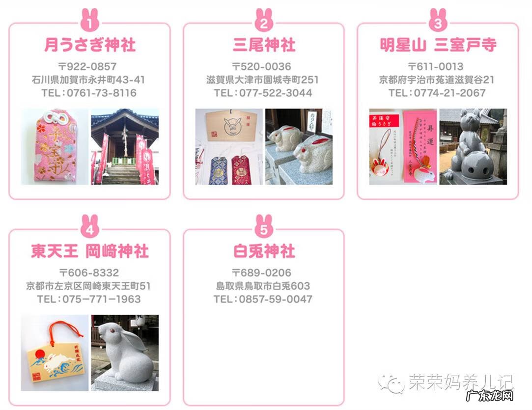 花王纸尿裤图片 花王纸尿裤官网首页