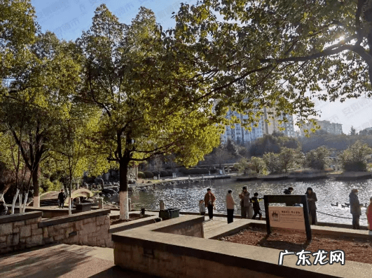 合肥元一柏庄风水咋样 合肥滨湖风水百年前