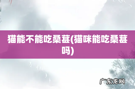 猫咪能吃桑葚吗 猫能不能吃桑葚