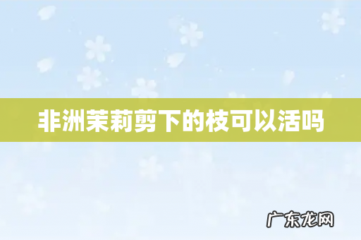 非洲茉莉剪下的枝可以活吗