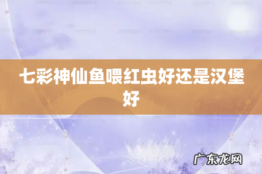 七彩神仙鱼喂红虫好还是汉堡好