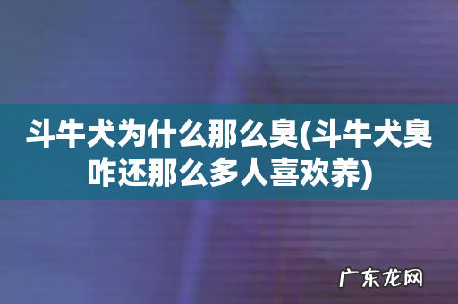斗牛犬臭咋还那么多人喜欢养 斗牛犬为什么那么臭