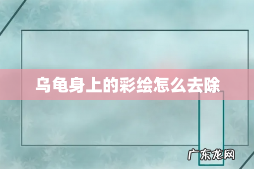 乌龟身上的彩绘怎么去除
