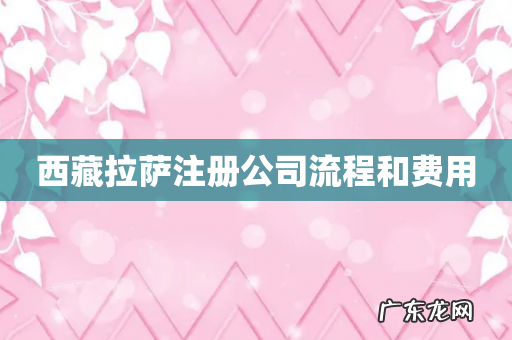 西藏拉萨注册公司流程和费用