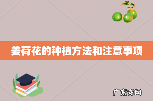 姜荷花的种植方法和注意事项