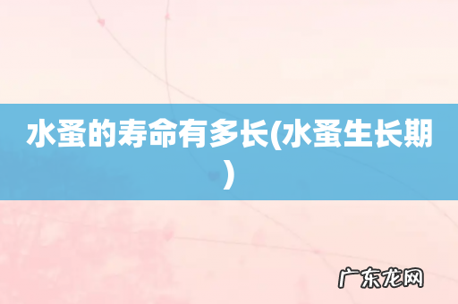 水蚤生长期 水蚤的寿命有多长