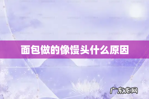 面包做的像馒头什么原因