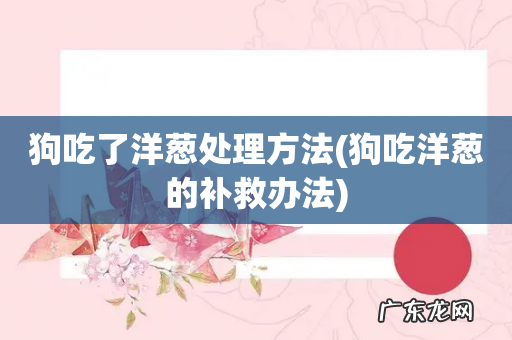 狗吃洋葱的补救办法 狗吃了洋葱处理方法