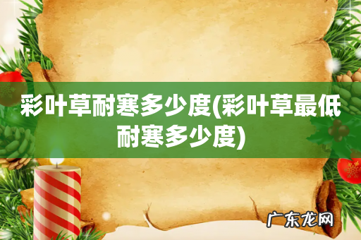 彩叶草最低耐寒多少度 彩叶草耐寒多少度