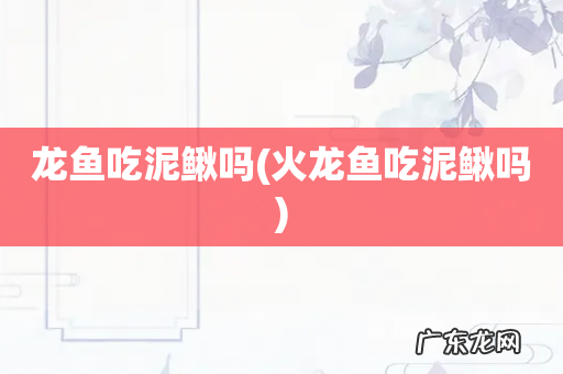 火龙鱼吃泥鳅吗 龙鱼吃泥鳅吗