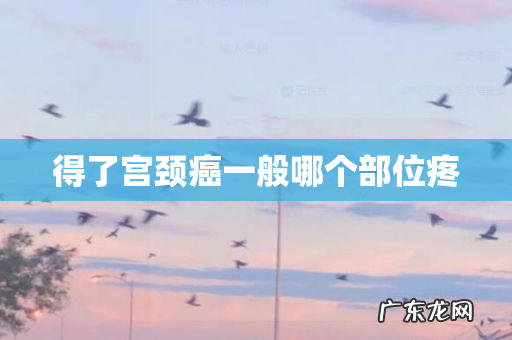 得了宫颈癌一般哪个部位疼