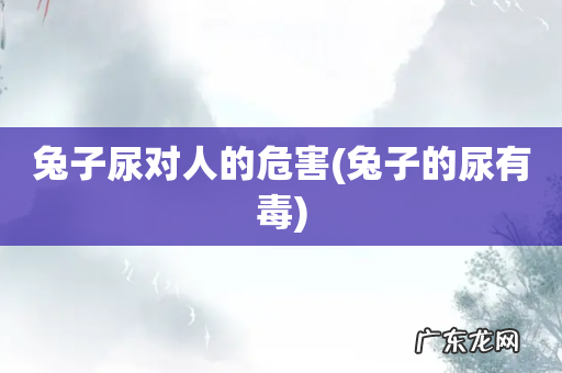 兔子的尿有毒 兔子尿对人的危害