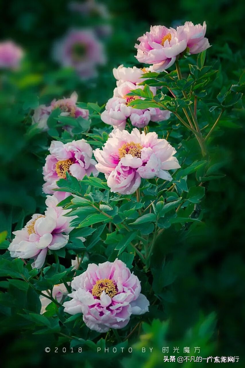 6月旅游 四月旅游推荐