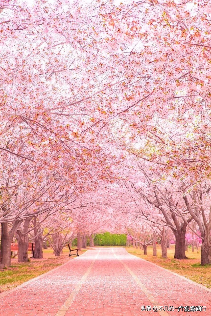 6月旅游 四月旅游推荐