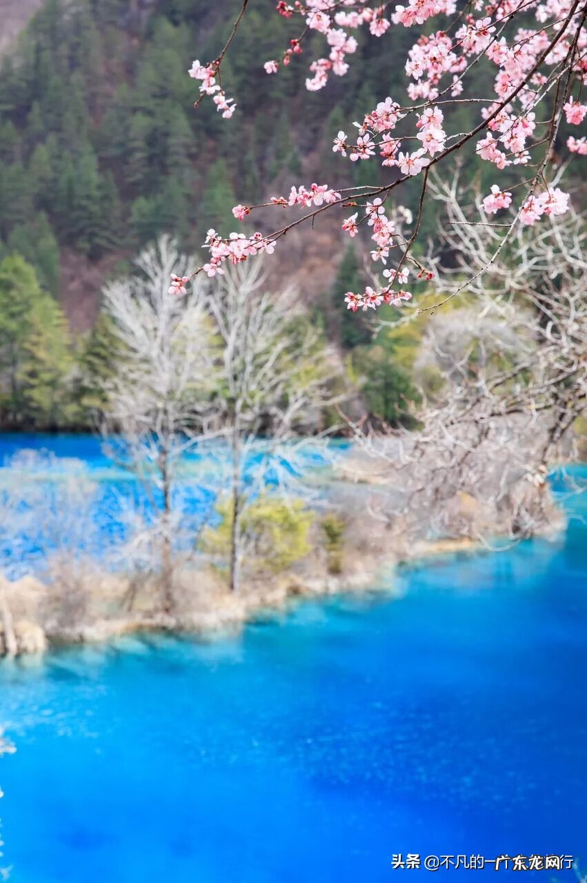 6月旅游 四月旅游推荐