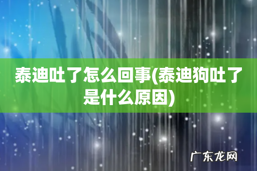 泰迪狗吐了是什么原因 泰迪吐了怎么回事