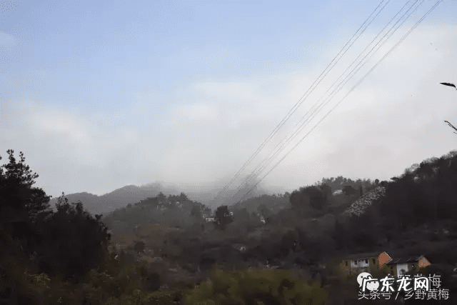 古晓华风水宝地视频 阿华探秘风水传说