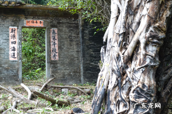 老字号综合风水罗盘 香港老字号风水综合罗盘