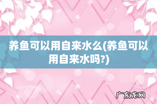 养鱼可以用自来水吗? 养鱼可以用自来水么