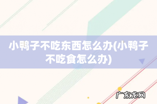 小鸭子不吃食怎么办 小鸭子不吃东西怎么办