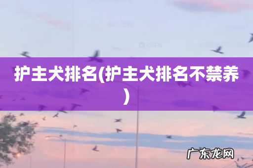 护主犬排名不禁养 护主犬排名